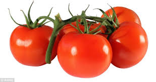 Image result for vegetables