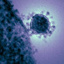 This Week: Coronavirus in the US