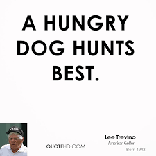 Ένας πεινασμένος σκύλος....