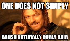 ONE DOES NOT SIMPLY BRUSH NATURALLY CURLY HAIR - One Does Not ... via Relatably.com