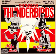 Resultado de imagen de the fabulous thunderbirds