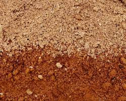 Hình ảnh về Clay soil