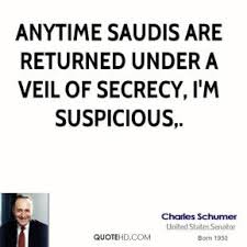 Charles Schumer Money Quotes | QuoteHD via Relatably.com