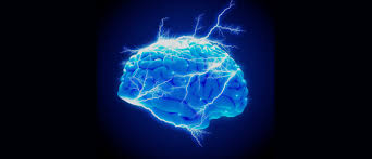 Lab grown nerve cells ‘holds promise for neurodegenerative disease’