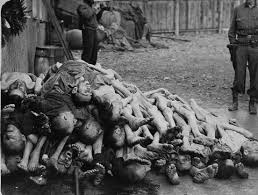 Image result for nazi camp photos