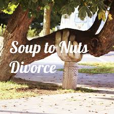 Soup to Nuts Divorce