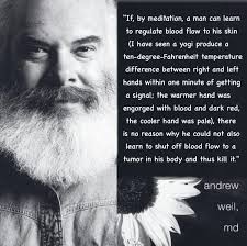 If, by meditation, a man can learn...&quot; Andrew Weil : Psychonaut via Relatably.com