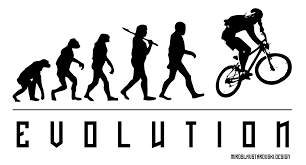 Image result for evolution