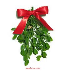 Image result for mistletoe