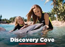 Discovery Cove Day resort Package no swim