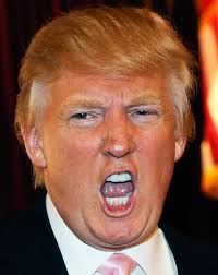 Image result for bad pictures of donald trump