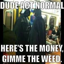 Weed Memes on Pinterest | Marijuana Funny, Smoking Weed and Weed Humor via Relatably.com