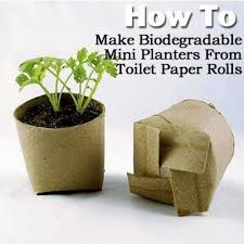 How To Make Biodegradable Mini Planters | GreenMedInfo Memes via Relatably.com