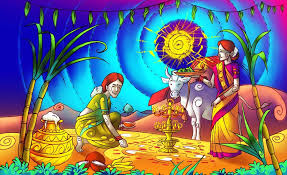 Image result for images of makar sankranti festival