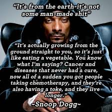 Best Snoop Dogg Weed Memes &amp; Smoking Weed Quotes 2015 - Weed Memes via Relatably.com
