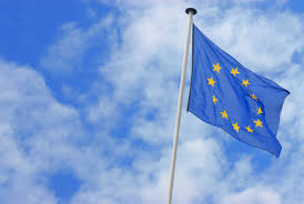 Image result for steag european