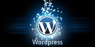 Image result for wordpress picture