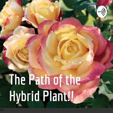 The Path of the Hybrid Plant!!