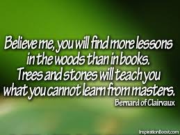 Image result for inspiration quotes of trees