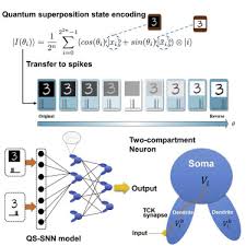 Article Quantum superposition inspired spiking neural network