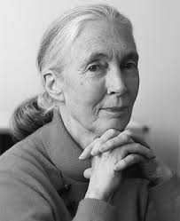 http://www.meghanwier.com (Megan Wier is the author of Confessions of an Introvert, 2005). http://www.theintrovertzcoach.com/bluefamousintroverts.html - janegoodall