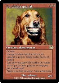 Résultat de recherche d'images pour "chien qui sourit"