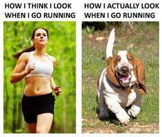 Funny Running Memes on Pinterest | Funny Running Pictures, Cross ... via Relatably.com