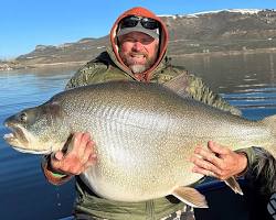 Image of Big Fish Potential in lake for fly fishing