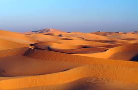 مفهوم الصحراء Images?q=tbn:ANd9GcS--diJ2YyPKHl7ZMpLCn3DRPYF4t4MPS8QIEm7IfSBiPToVxKs