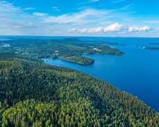 科利國家公園，芬蘭的圖片