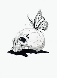 butterfly skull]에 대한 이미지 검색결과
