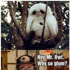Why So Glum Mr.owl? by shadowx - Meme Center via Relatably.com
