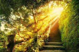 Resultado de imagen de Imágenes de la luz espiritual