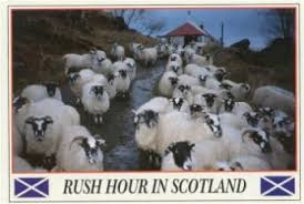 Image result for scotland postcards