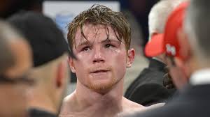 Former junior middleweight titlist Saul &#39;Canelo&#39; Alvarez said on Friday he is putting his September defeat against pound-for-pound king Floyd Mayweather Jr. ... - 54431.3