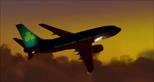 Image result for aer lingus planes