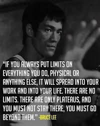 Karate Quotes Inspirational. QuotesGram via Relatably.com