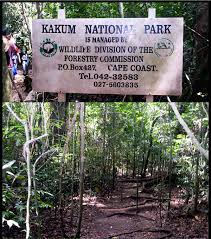 Image result for kakum park