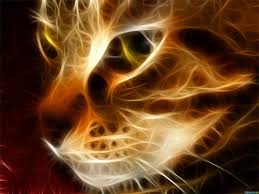 Кошка — магическое животное - Страница 3 Images?q=tbn:ANd9GcS1ZST9Yn4nhIFA-A1M8IXk6WdYMRDs0DTr2BOq0Xp24xk2jOWcbA