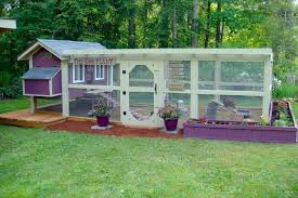 Image result for chicken coops