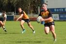 Springbok Rugby Hits