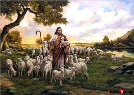 Image result for shepherd
