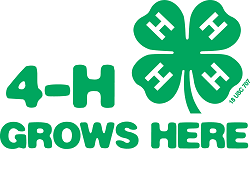 Image result for 4-H