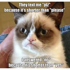 16 of the Best Grumpy Cat Memes - Catster via Relatably.com
