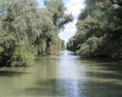 Canalul Sfântul Gheorghe