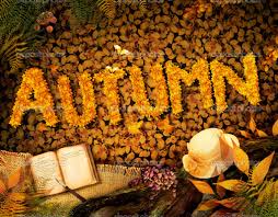 Image result for autumn pictures