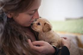 Image result for puppy snuggles owner