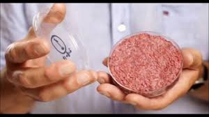 McDonalds caught using human baby meat in their burgers ...