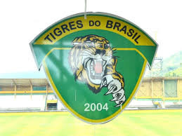Resultado de imagem para imagens de Fluminense x Tigres do brasil