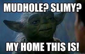 mudhole? slimy? MY HOME THIS IS! - Bachelor Yoda - quickmeme via Relatably.com